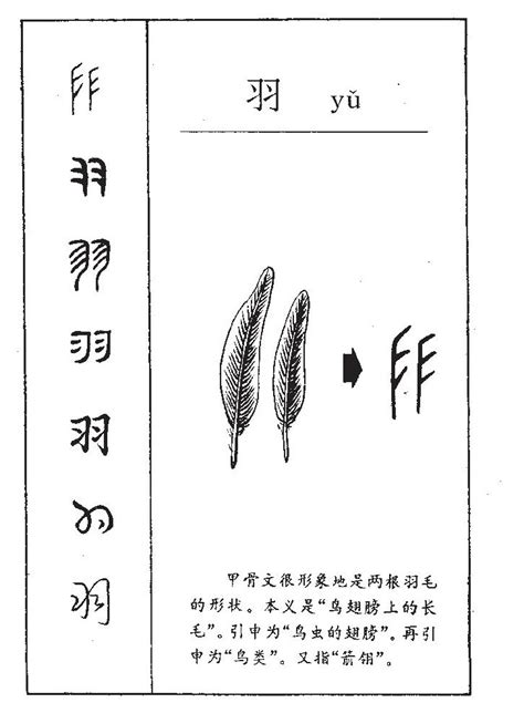 羽字五行